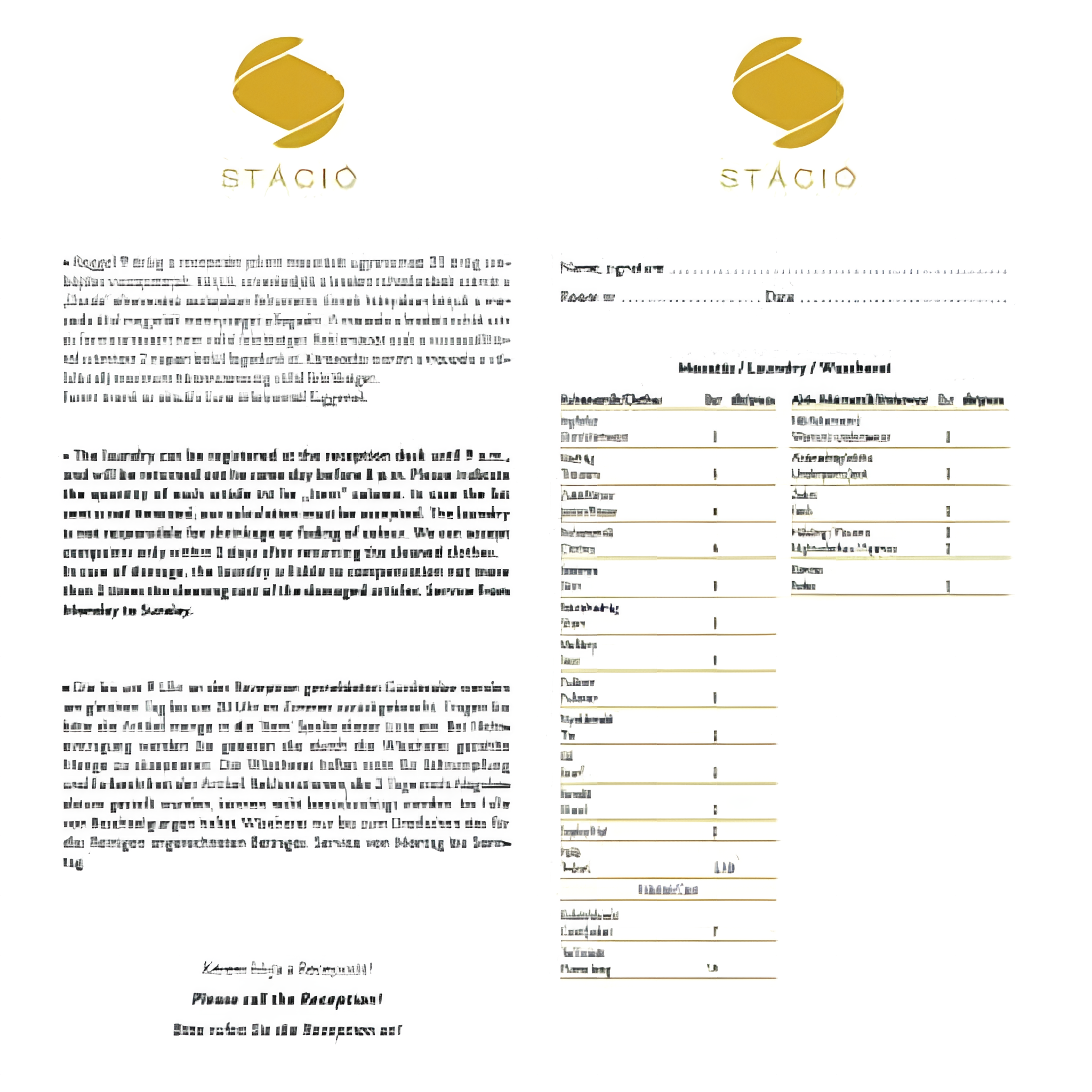 Logózott mosatási jegyzék