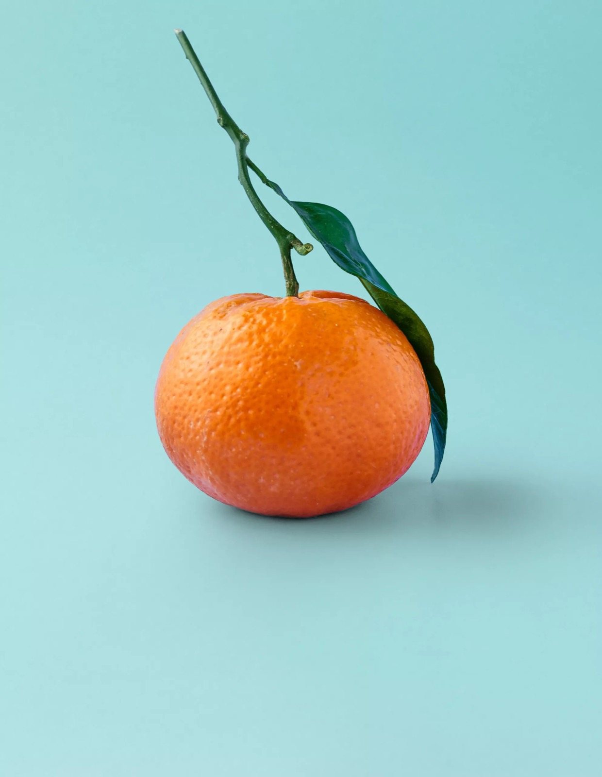 Mandarin és citrusos fejillat