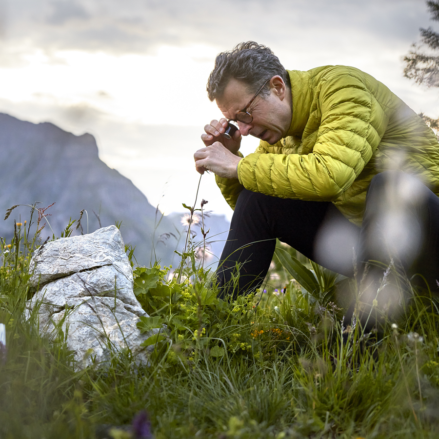 Alpesi növények vizsgálata az Alpeor márka világában