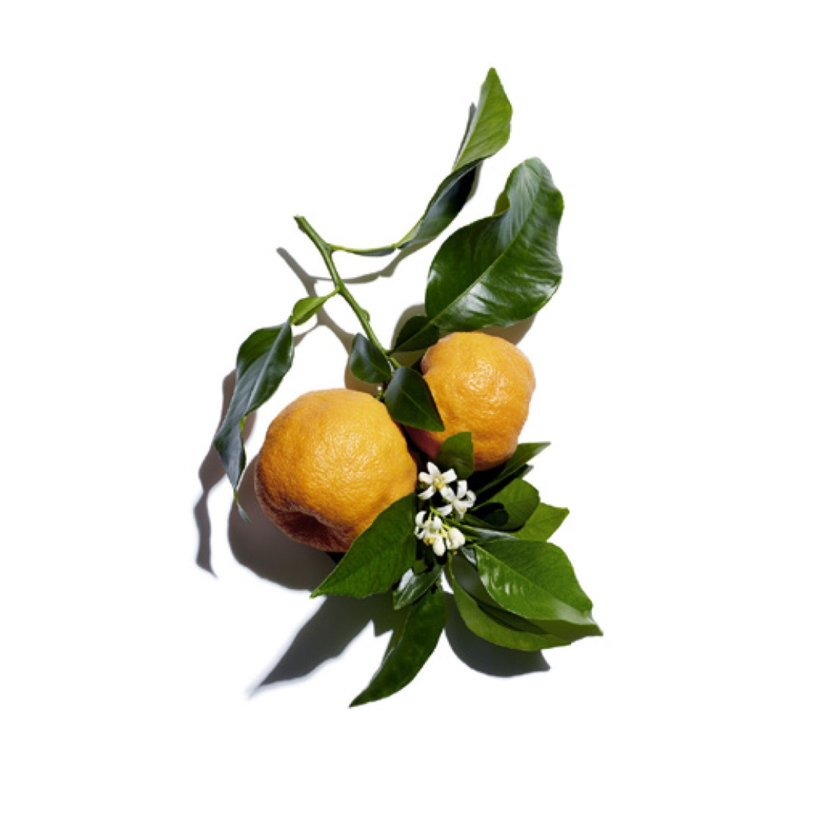 Clarins Eau Dynamisante citrusos fejillata
