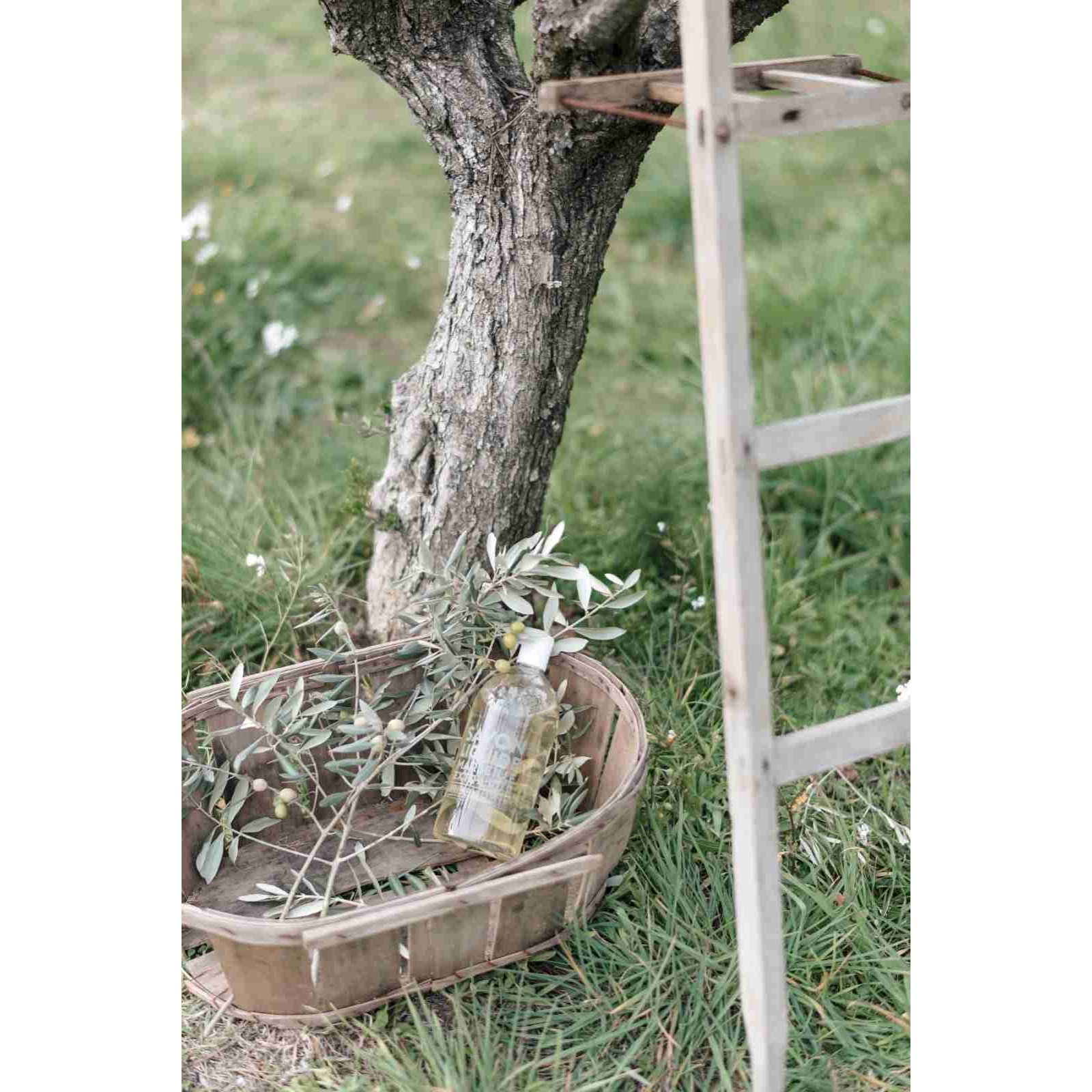 Olajfa alatt elhelyezett Compagnie de Provence termékek