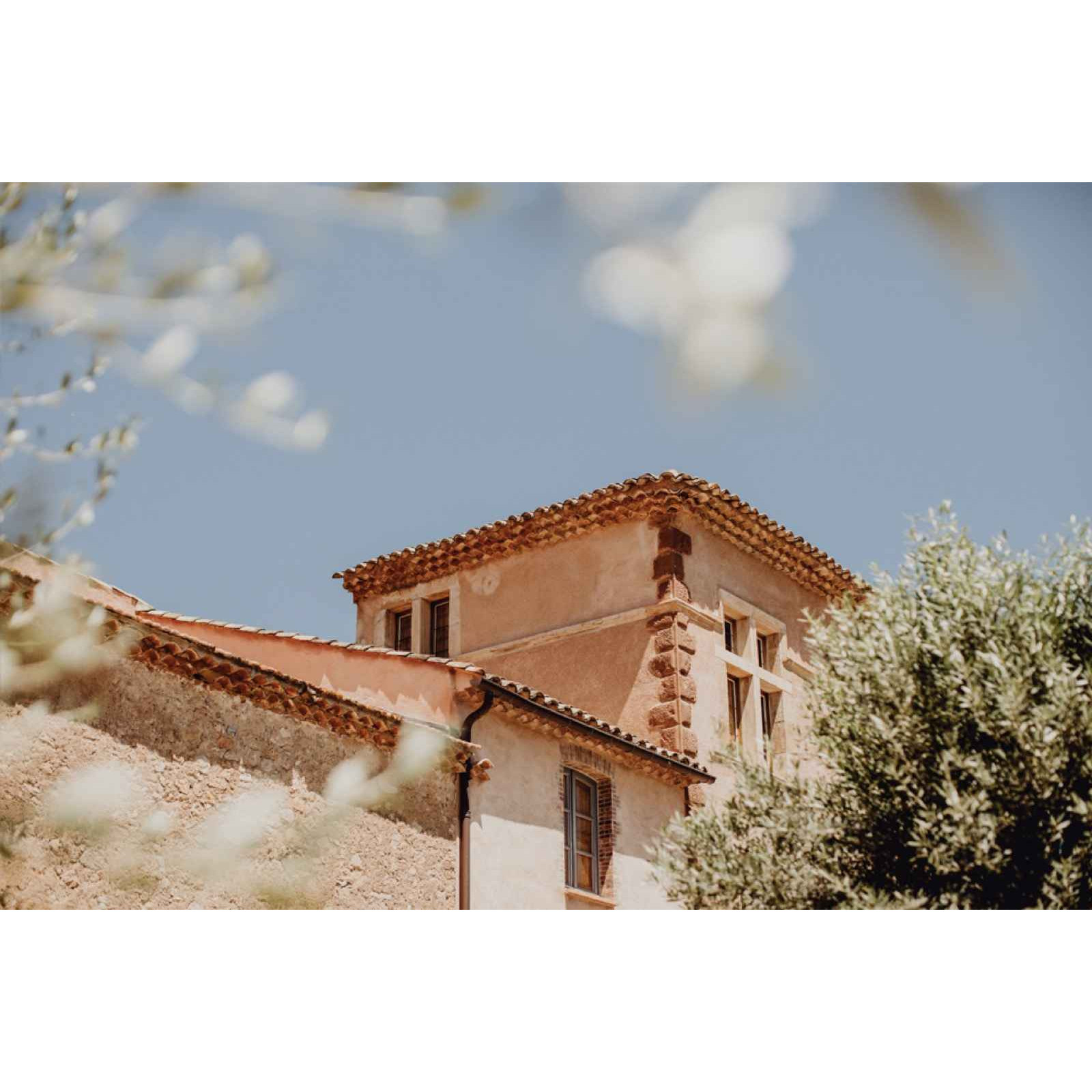 A close-up view of a rustic building with a terracotta roof, partially framed by olive branches against a clear blue sky