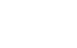 salentum logo