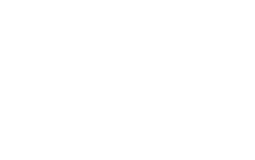 vinesime logo